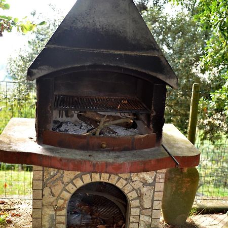 Agriturismo Podere Biancospino Piscina Privata Chianciano Terme Ngoại thất bức ảnh